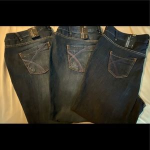Lane Bryant Boot Cut Jeans: 18P (x2); 20P (x1)